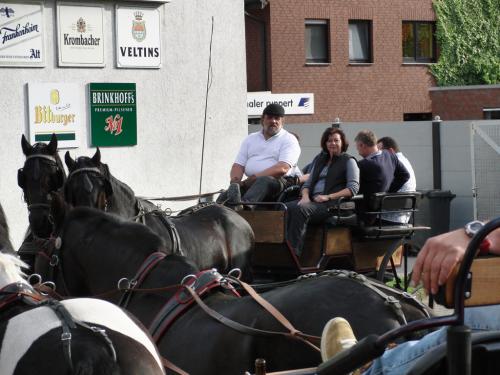 Kutschfahrt 2009 (3) (1)