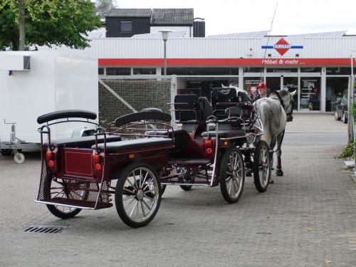 Kutschfahrt 2009 (57) (1)